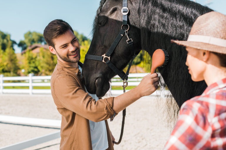 Генетические тесты лошадей для проверки спортивной предрасположенности лошадей