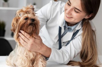 Как выбрать ветеринара для собаки или кошки?
