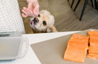 Кетогенная или кето диета для собак: по какому принципу?