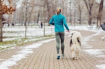 Научитесь бегать вместе с собакой: 8 советов и приемов