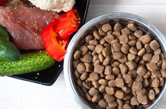 Органическая еда и натуральный корм для собак: в чем разница?